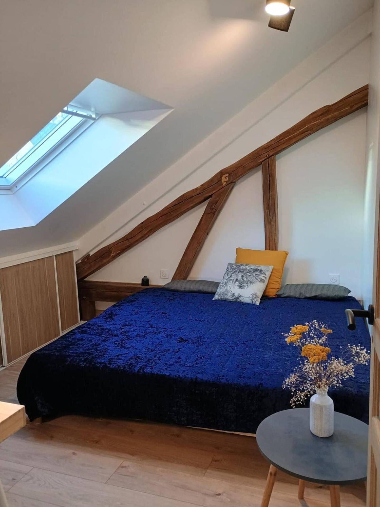Domaine De Charme Au Coeur D'Orleans Classe 3 Etoiles - Bords De Loire - 21 Couchages Avec Parkings Prives المظهر الخارجي الصورة